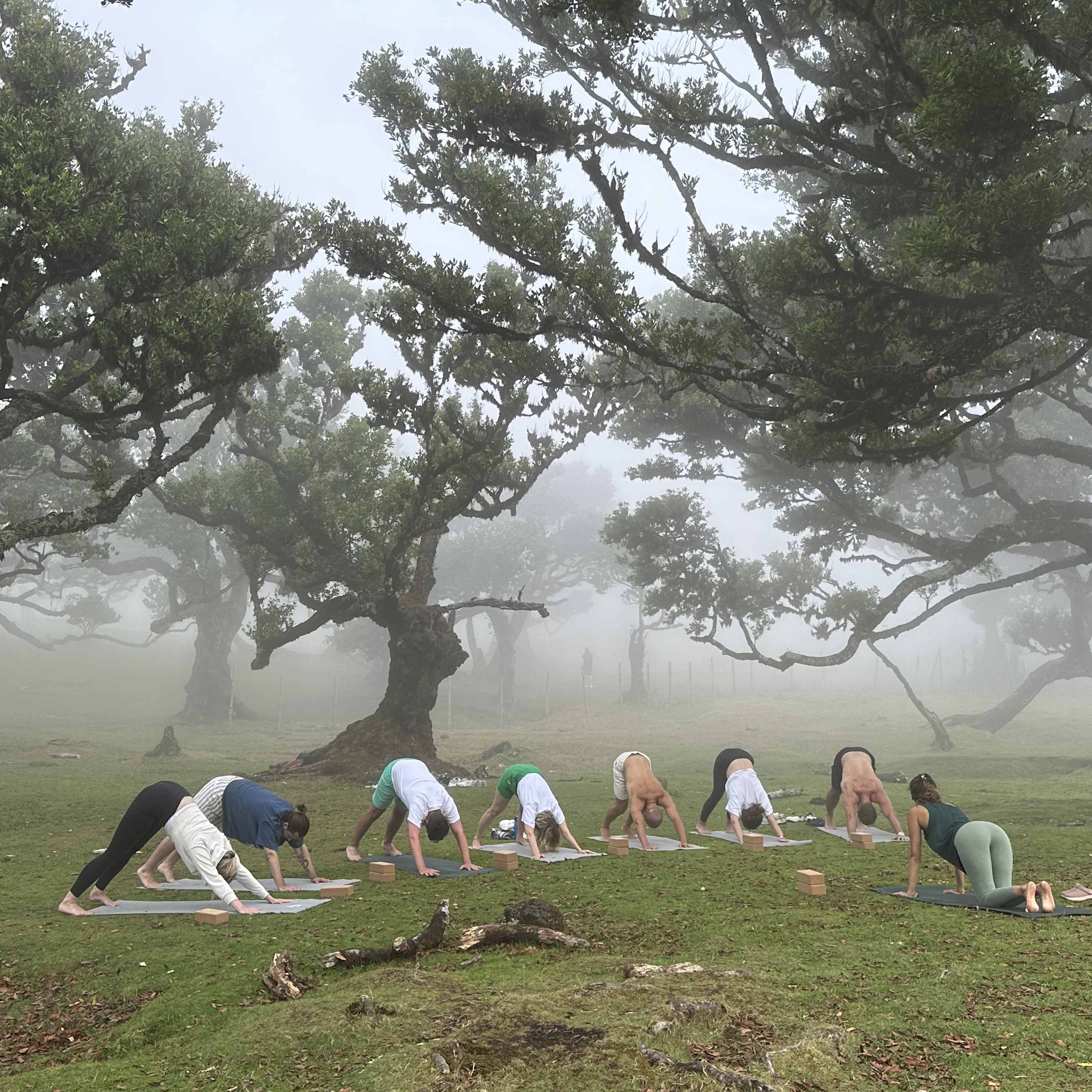 Group Yoga classes on Madeira, Funchal